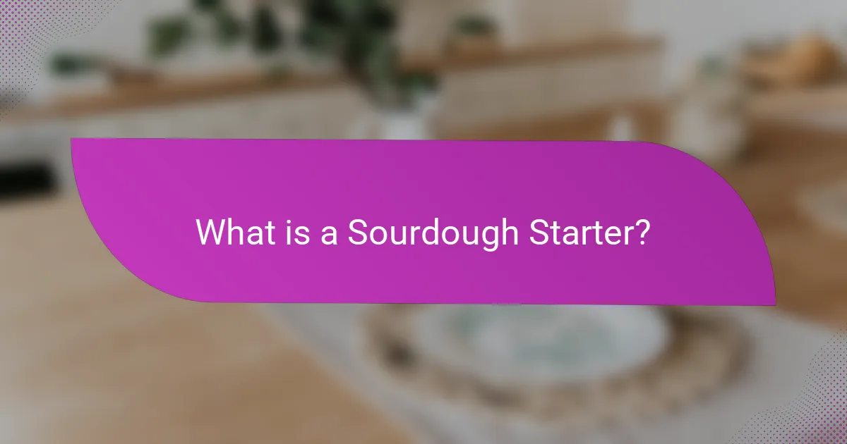 What is a Sourdough Starter?